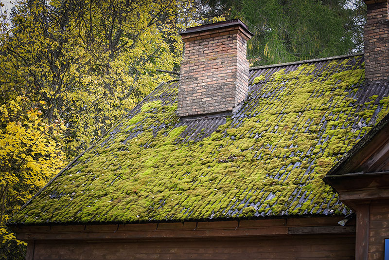 Chimney Inspection and Maintenance